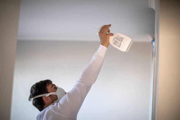 Best Emergency Mold Remediation in Darnestown, MD